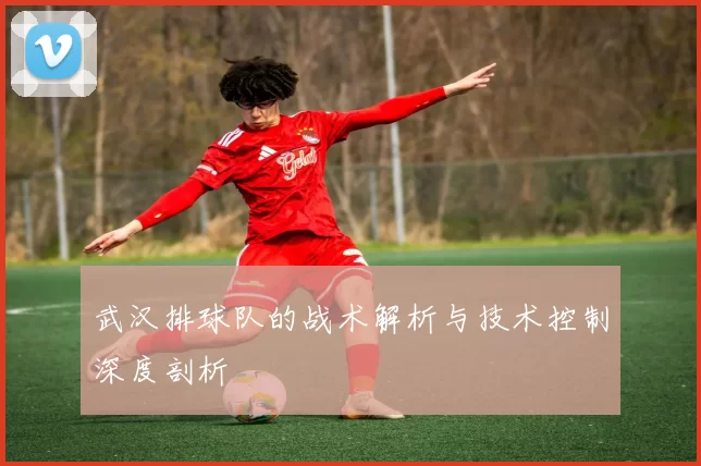 武汉排球队的战术解析与技术控制深度剖析