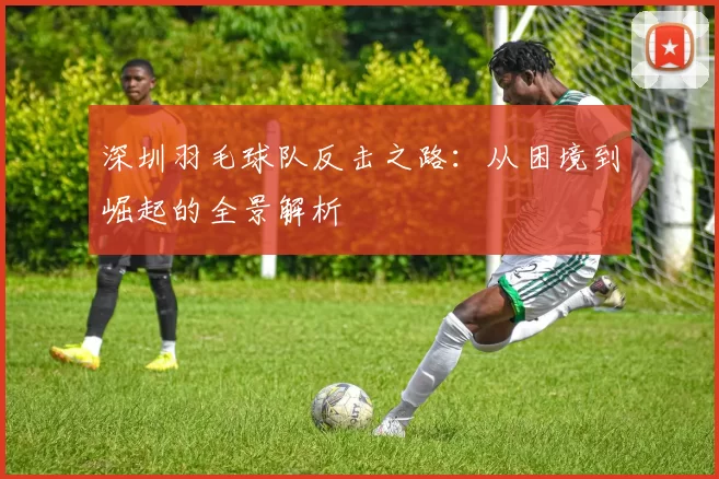 深圳羽毛球队反击之路：从困境到崛起的全景解析