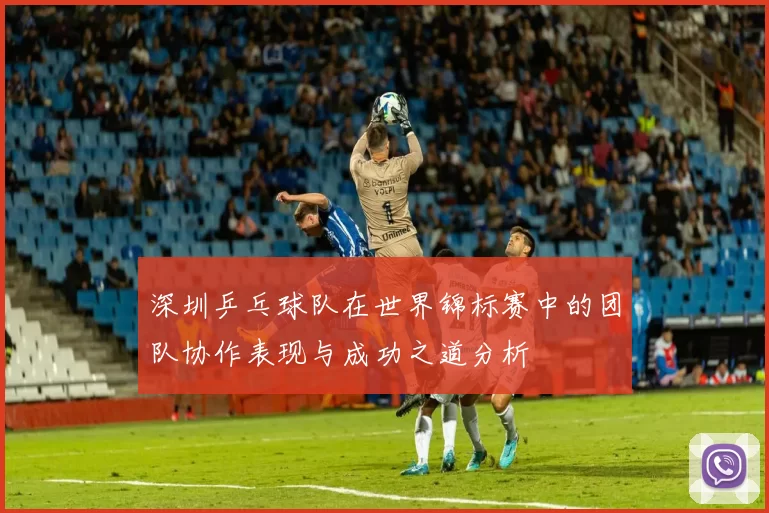 深圳乒乓球队在世界锦标赛中的团队协作表现与成功之道分析