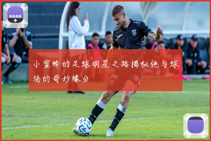 小蜜蜂的足球明星之路揭秘他与球场的奇妙缘分