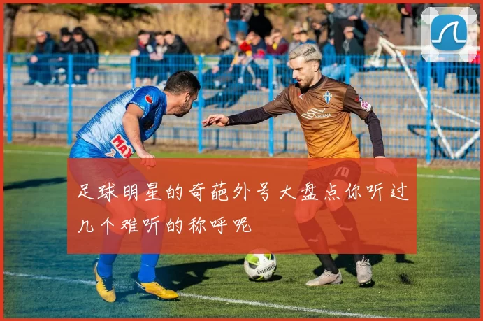足球明星的奇葩外号大盘点你听过几个难听的称呼呢