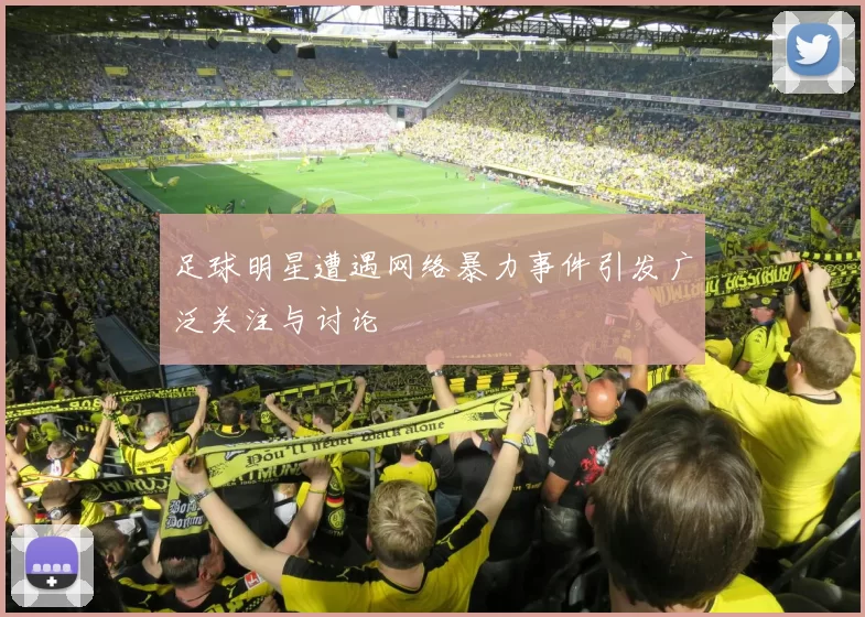 足球明星遭遇网络暴力事件引发广泛关注与讨论