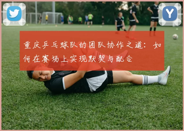 重庆乒乓球队的团队协作之道：如何在赛场上实现默契与配合