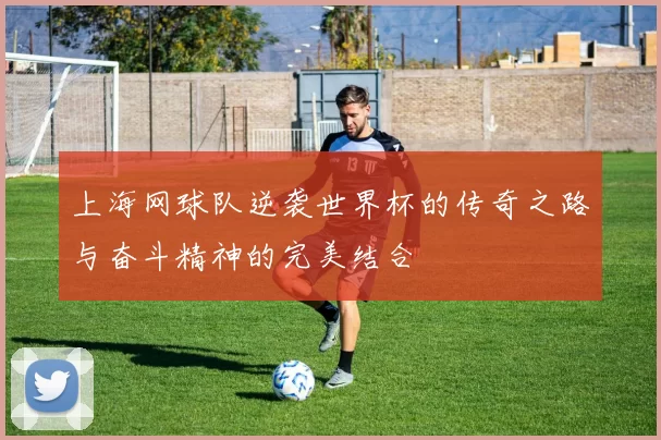 上海网球队逆袭世界杯的传奇之路与奋斗精神的完美结合